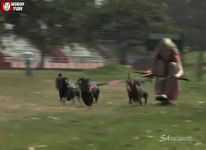 Video :Young girls and dachshunds having a wild time